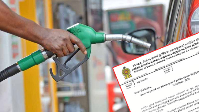 Sri Lanka launches data collection programme to assess fuel needs of transport sector