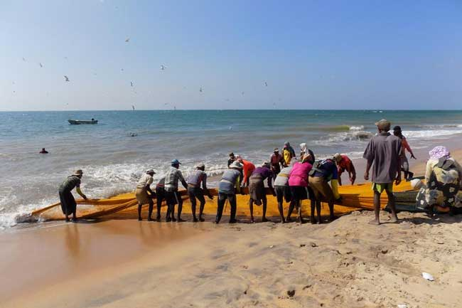 Dedicated number introduced to report issues in fishing industry