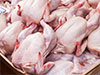SLAAP assures consistent chicken supply ahead of festive season