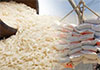Govt. to issue permits to import several rice varieties including Ponni Samba 