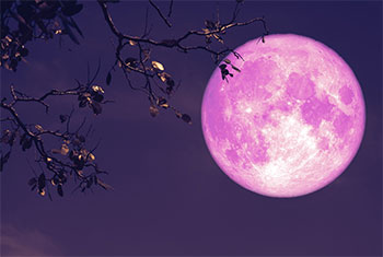 April�s full pink moon will rise in the night sky this week