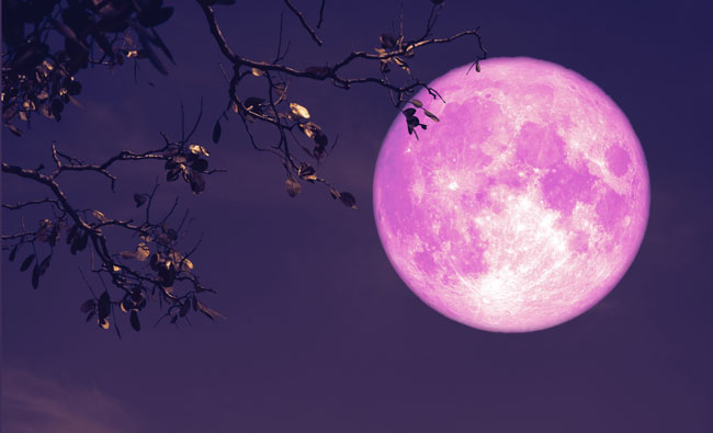April�s full pink moon will rise in the night sky this week
