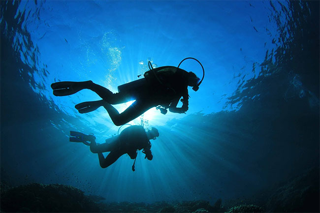 Agrarian Insurance Board introduces dedicated insurance scheme for divers
