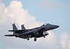 One crew member from downed US fighter jet rescued - US officials 