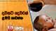 දවසට දෙවරක් ළමයි නාවන්න