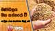 මණ්ඩලය මහ කන්නයේ වී මෙට්‍රික් ටොන් 64,000ක් මිලදී ගනී