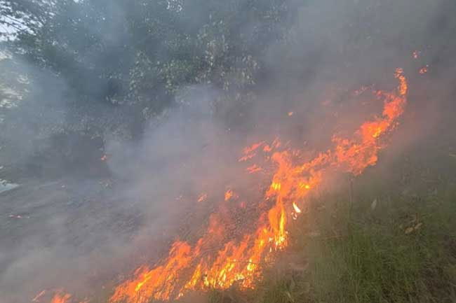 Fire breaks out on main island of Castlereagh Reservoir
