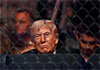Donald Trump attends UFC fight during US-Iran peace talks