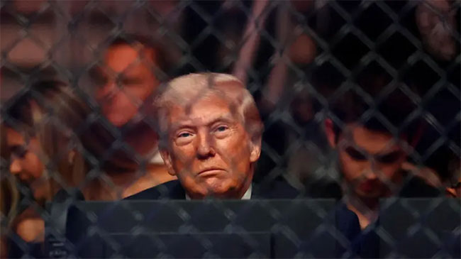 Donald Trump attends UFC fight during US-Iran peace talks