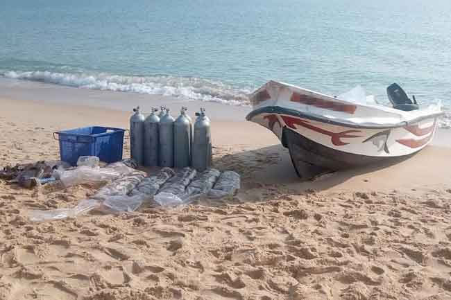 Six nabbed in Nagar Kovil over illegal harvesting of sea cucumbers