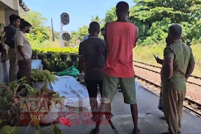 Russian woman killed in train collision at Kabalana railway crossing