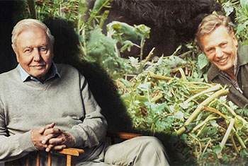 David Attenborough centenary celebrations start with closer look at �Life on Earth�