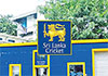Sri Lanka Cricket placed under Sports Ministry control after Executive Committee resigns