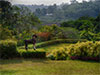 Sri Lanka�s Brief Garden featured in New York Times Style Magazine