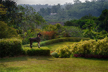 Sri Lanka�s Brief Garden featured in New York Times Style Magazine