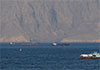 Trump announces �Project Freedom� to help stranded ships leave Strait of Hormuz
