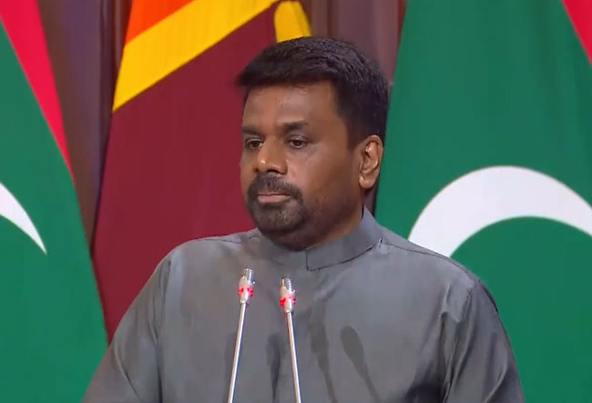Lands allocated in Sri Lanka and Maldives for High Commissions - President 