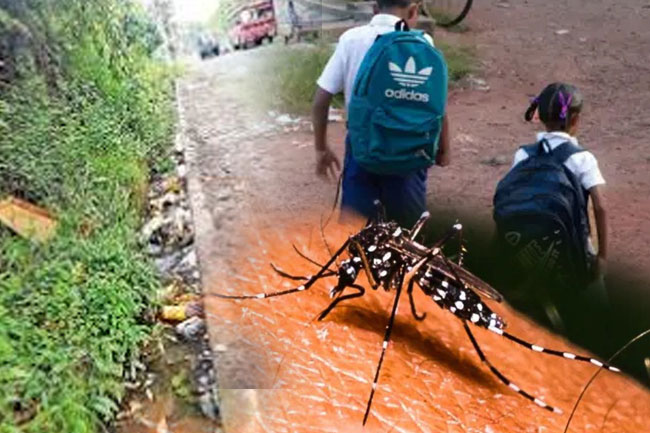 12 dengue deaths, including two children, reported in Sri Lanka so far this year