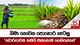 නිමා නොවන පොහොර ගැටලු.. 