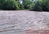 Flooding displaces families across 14 GS divisions in Galewela 