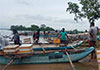 Udawalawa Reservoir sees massive 35,000 kg fish harvest following heavy rains