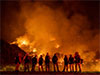 Global fire outbreaks hit record high as �unprecedented� heat extremes loom, scientists say