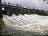 Irrigation Dept. warns river water levels may rise again despite temporary decline