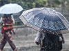 Puttalam records highest rainfall of over 250 mm within 24 hours