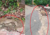 Kotmale�Gampola road closed amid renewed landslide fears 