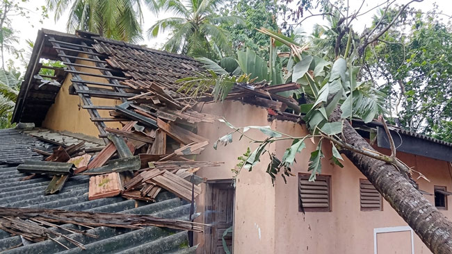 88 houses partially damaged across seven districts due to bad weather - DMC