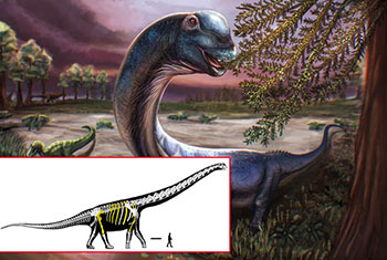 Scientists dig up Southeast Asia�s largest dinosaur in Thailand