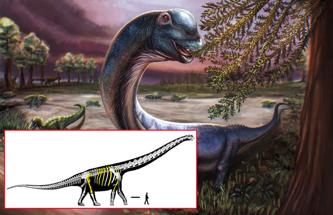 Scientists dig up Southeast Asia�s largest dinosaur in Thailand