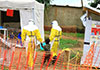 New outbreak of Ebola kills 65 in eastern DR Congo