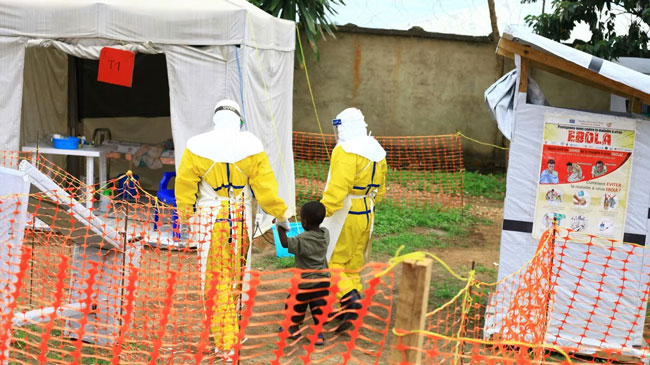 New outbreak of Ebola kills 65 in eastern DR Congo