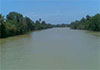 Gradual recession of river water levels amid reduced rainfall: Irrigation Dept.