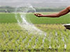 Samples of �substandard� fertilizer from Thambuttegama sent for testing