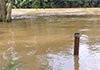 Rainfall decreases across major river basins – Irrigation Dpt. Rainfall decreases across major river basins – Irrigation Dpt.