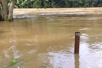 Rainfall decreases across major river basins � Irrigation Dpt. 