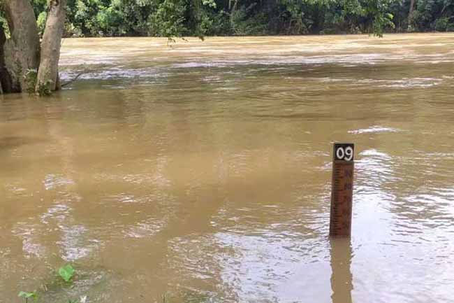 Rainfall decreases across major river basins � Irrigation Dpt. 