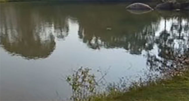 Two brothers drown in abandoned quarry in Kekirawa