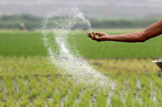 Cabinet approves purchase of additional 15,000 MT of urea fertilizer for Yala season