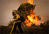 Thousands ordered to evacuate as Southern California wildfire threatens homes