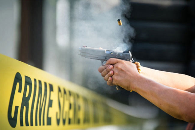 Police open fire at lorry allegedly transporting cattle illegally in Hungama