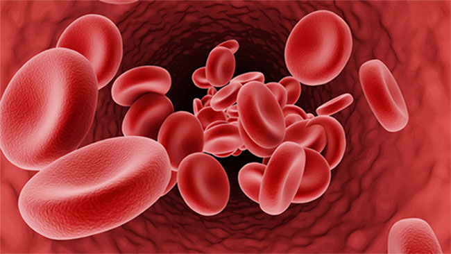 45�60 children born annually with Thalassemia, Health Ministry reveals