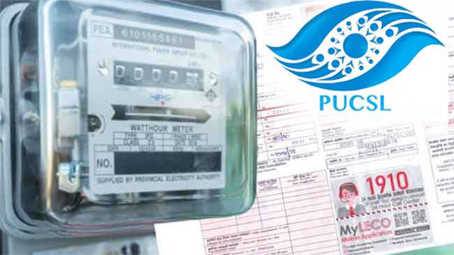 Govt. will not seek electricity tariff hike until September � Minister