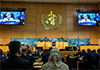 UN votes to support strong action on climate change despite US efforts to thwart the effort