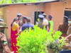 79-year-old woman found murdered, body concealed in suitcase in Seeduwa