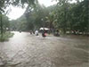 Over 300 mm rainfall recorded in some areas - Met. Dept