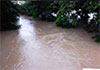 Advisory issued to residents along Attanagalu Oya amid heavy rainfall 