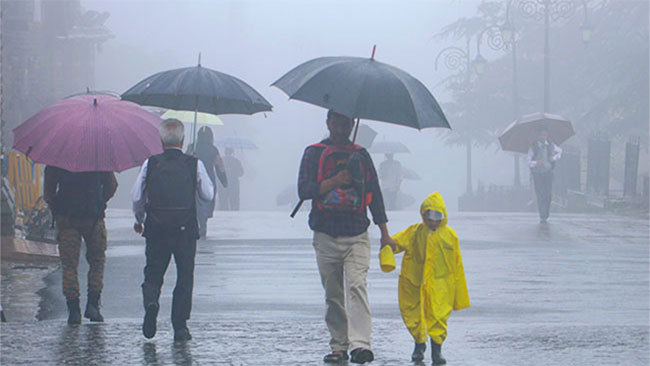 Southwest monsoon gradually sets in; Heavy rainfall expected from Tuesday